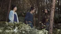 双燕秘抄 乱世を舞う二羽の絆 34話